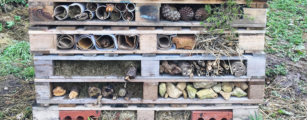 Make a Bug Hotel