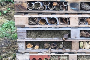 Make a Bug Hotel