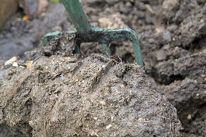 Improving Clay Soils