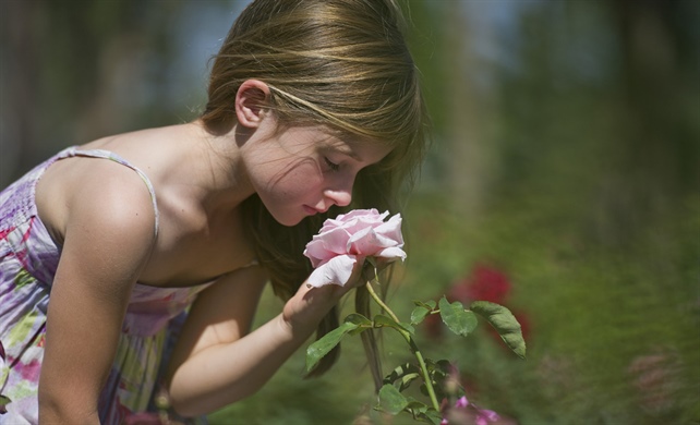 Fragrant Gardens