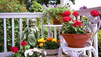 Container Gardening