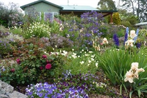 Cottage Gardens