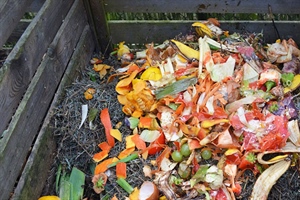 Compost to help your garden grow