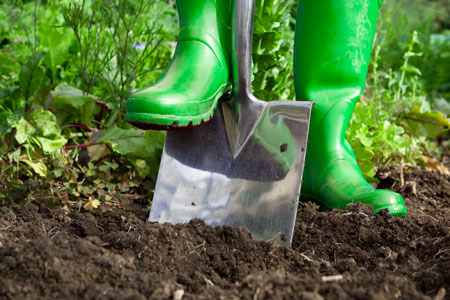 Digging soil