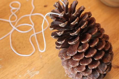 Pine cone bird feeder